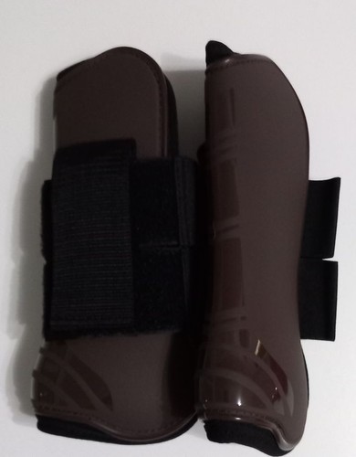 Paar braune warmblut pferde - warmblut,