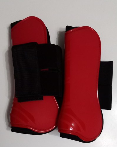 Paar rote warmblut pferde - 1,
