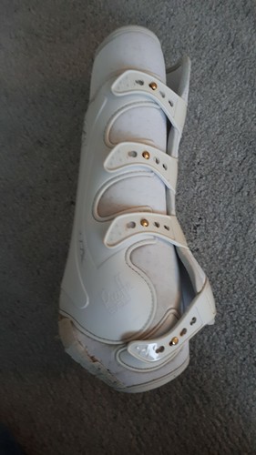 Veredus piaffe evo dressur - evo,